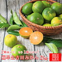 【f極 02】【予約】極早生 吉田みかん 2kg★9/5頃より入荷次第順次発送★※2箱購入でもう1箱おまけがついて合計3箱に!(多少の枝傷・葉傷・黒点有り)(家庭用・2S〜2Lサイズ込み)【愛媛県産】【送料無料】