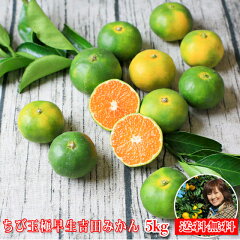 https://thumbnail.image.rakuten.co.jp/@0_mall/tutiyama/cabinet/item/goku/chibigokuwase/2023chibigoku5kg.jpg