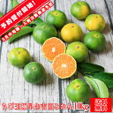 【ちび玉極 10】【★予約販売★】ちび玉 極早生 吉田みかん 10kg(多少の枝傷・葉傷・黒点有り)(家庭用・3S〜2Sサイズ込み)【愛媛県産】【送料無料】みかん 吉田みかん 極早生 ミカン 蜜柑 柑橘 フルーツ 果物