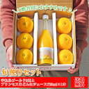 みかん ジュース 旬便りセット 旬set 家庭用 河内晩柑 紅まどんなジュース フレッシュつちやま 吉田みかん 愛媛 吉田 宇和島 柑橘 フルーツ セット ご贈...