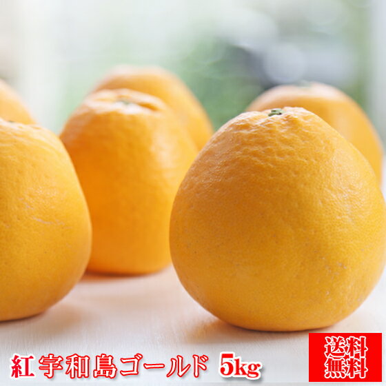 【f紅ゴ 05】紅 宇和島ゴールド　5kg 【葉傷・枝傷・黒点のあるものが含まれます】【愛媛県産】【送料無料】河内晩柑 美生柑 愛南ゴールド 夏文旦 みかん 紅宇和島ゴールド 宇和島ゴールドのサムネイル