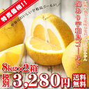 【W傷ゴ 0802】傷あり宇和島ゴールド 8kg×2箱 【訳...