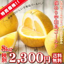 【W傷ゴ 08】傷あり宇和島ゴールド 8kg 【訳あり・葉傷...