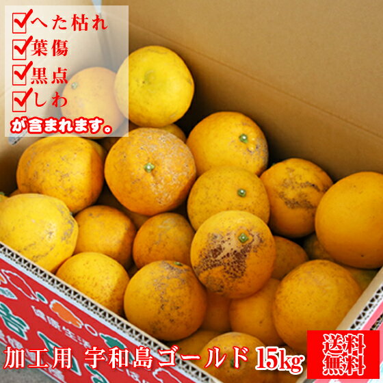 加工用　宇和島ゴールド　15kg （加