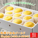みかん 特撰宇和島ゴールド 2kg前後 特ゴ02 化粧箱入り 特撰包装 精品 河内晩柑 ゴールド 愛南ゴールド 美生柑 夏文旦 宇和ゴールド フレッシュつちやま...