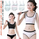 2組ブラジャー&ショーツ!ジュニアブラ ジュニア スポーツブラ 上下セット タンクトップ 子供 2組ブラジャー&ショーツ!ジュニアブラ キッズブラ リブ インナ...