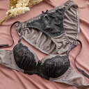 ライトレースブラ&ショーツセット ブラセット A〜Fカップ ブラジャー ショーツ セット 下着