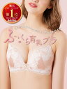 ふっくら育乳ブラ 育乳 tutuanna チュチュアンナ ブラジャー A〜Eカップ 単品 谷間 寄せる 盛る 大きいサイズ ネオアドアステラブラ(A〜Eカップ) #2022/9/13NEW