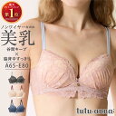 tutuanna チュチュアンナ ブラジャー ノンワイヤー A〜Eカップ 単品 ショーツ別売り 谷間 脇高 脇肉 脇背中すっきり [美乳マジックブラ・谷間]総レースノンワイヤーブラ #2023/11/7NEWカラー