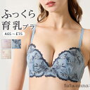 tutuanna チュチュアンナ ブラジャー A〜Eカップ 単品 ブラジャーのみ ショーツ別売り 谷間 盛る 脇背中すっきり 脇肉 脇高 アイリスフローラブラ(A65〜E75) #2023/11/15NEW