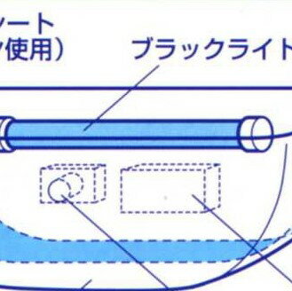 虫ピタ虫用　ブラックライト　5本【smtb-F】