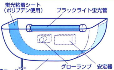 虫ピタ虫用　ブラックライト　5本【smtb-F】