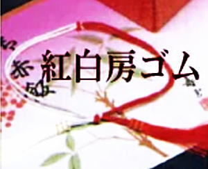 【メール便対応】【房ゴムのみ】【紅白（寿）】【緑（仏）】【25本】こと弁などの紙弁当容器、赤飯折箱の止めゴム房。