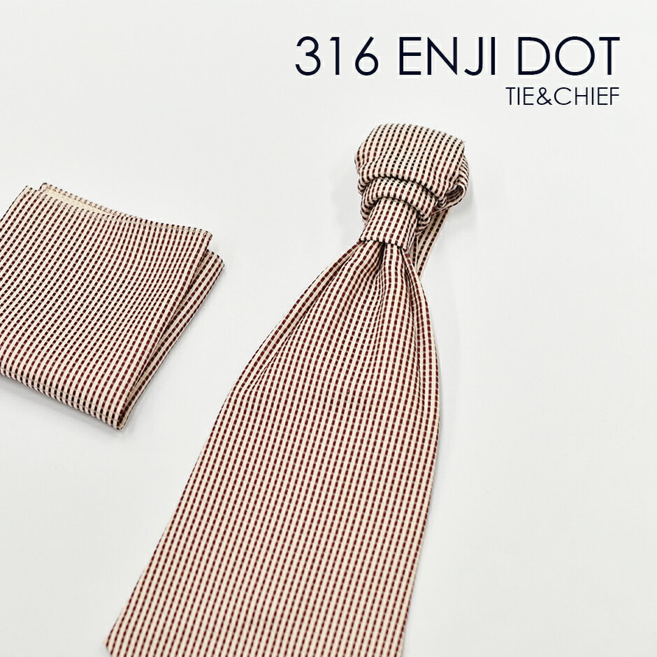 お洒落なコーディネートが出来る タキシード用 ユーロタイ＆チーフ 316EDエンジドット★レンタル4泊5日★