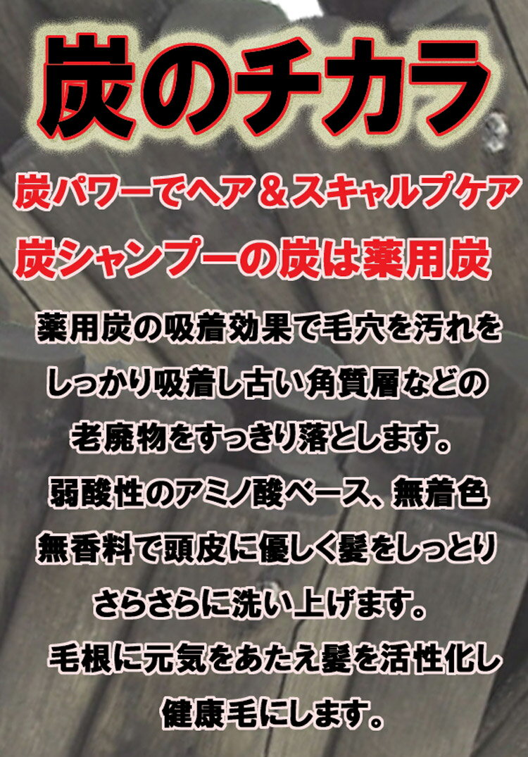 【エントリーでポイント5倍】サブリナ 炭シャンプー 800ml 詰め替えタイプ レフィル 中央有機科学 スキャルプ プロ用美容室専門店 新生活 一人暮らし 準備 プレゼント用 退職 ご挨拶 プチギフト用 お返し 贈り物 ギフト用 誕生日 サロンシャンプー サロン専売品 tuyakami-10096608 つや髪美肌研究SHOP サンプル画像2