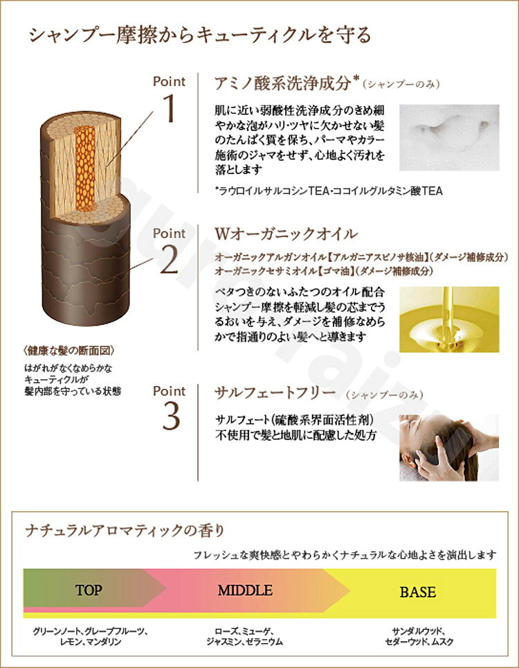 クラシエ プレジールトリートメントシャンプー2000ml 詰め替えタイプ KIK Prep organia premium PLAISIR クラシエ シャンプー ヘアケア スタイリング シャンプー 業務用 温泉施設 温浴施設 スポーツ施設 ゴルフ場 スパ施設 ホテル プレゼント用 tuyakami-10037302 つや髪美肌研究SHOP サンプル画像2