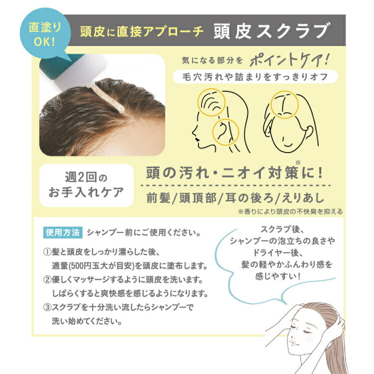 ST�˥塼�� �إåɥ�����֥�����120g�����ե롼�ƥ���/�����륷�ȥ饹 Ƭ�饹����֥��� �ӷ� ���� �٥��Ĥ� �˥��� �إåɥ��� ���