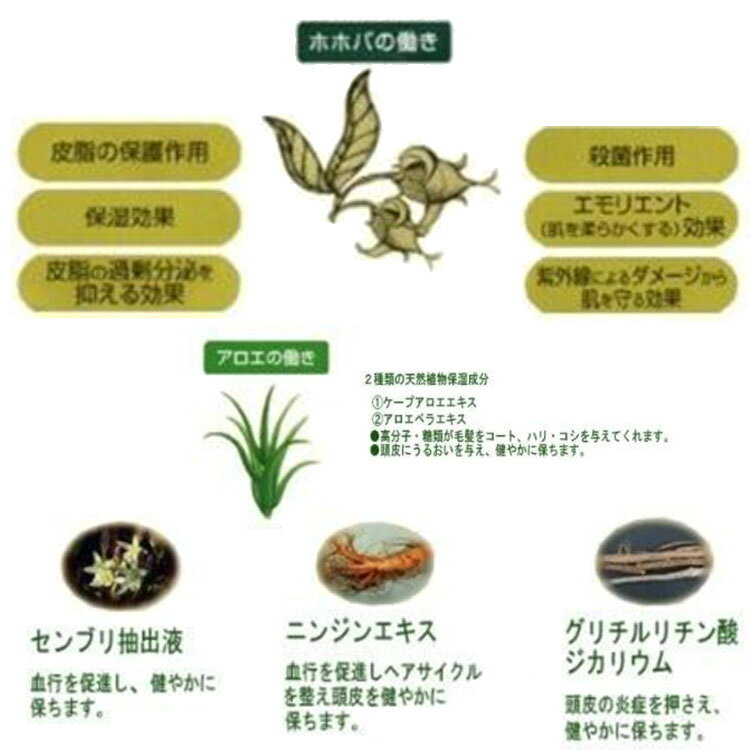 アロインス ロカイゲン 薬用 蘆薈元 育毛剤 180mL 蘆薈 化粧品 アロエ 医薬部外品 プロ用美容室専門店 用 プチ tuyakami-10082758 つや髪美肌研究SHOP サンプル画像2