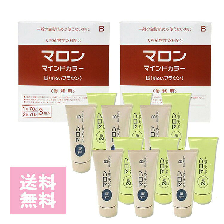 マロンマインドカラーB 明るいブラウン 業務用 3ペア 1剤・2剤 入 ×2箱 送料無料 マロン マインドカラー ジアミン