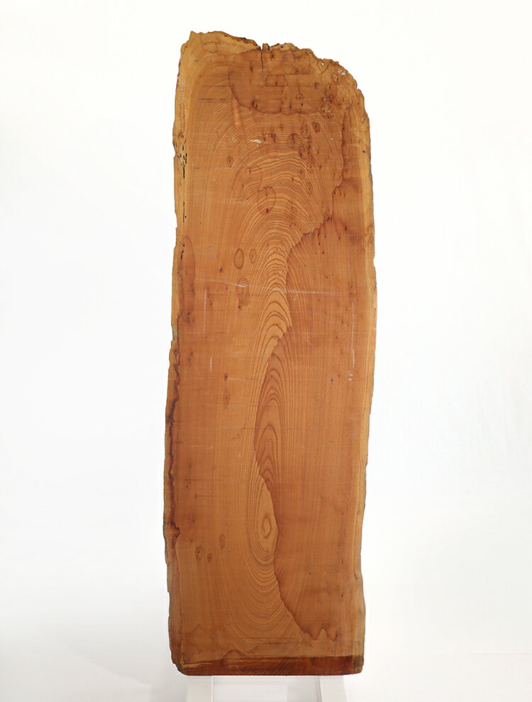 ���䤭 ������ ���� ���͡�̵�� / �Ǻࡧݰ�� �ơ��֥� ǯ�� ���� �������� ŷ�ġ�~