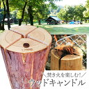 【送料無料】T-KRAFT 津山銘木ウッドキャンドル(スウェーデントーチ)着火用の木くず付
