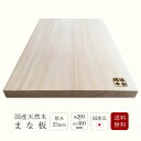 【国産品】まな板 四角 送料無料幅200×長さ400×厚み25mm樹種:銀杏(いちょう)【板厚 大きいサイズ 抗菌 抗カビ 安心 安全 天然木 キッチン用品】(3)