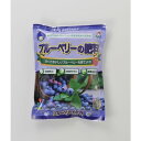 朝日工業 ブルーベリーの肥料 550g 1個