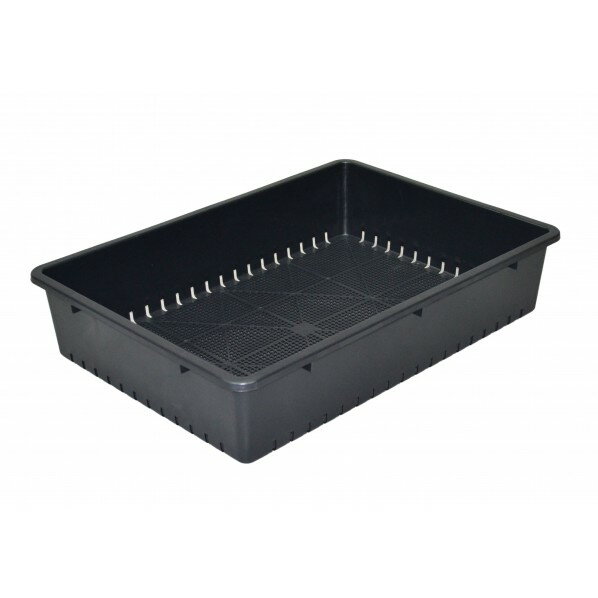 アップルウェアー 育苗箱51型土容量10L 505×360×107mm スミグレー 1