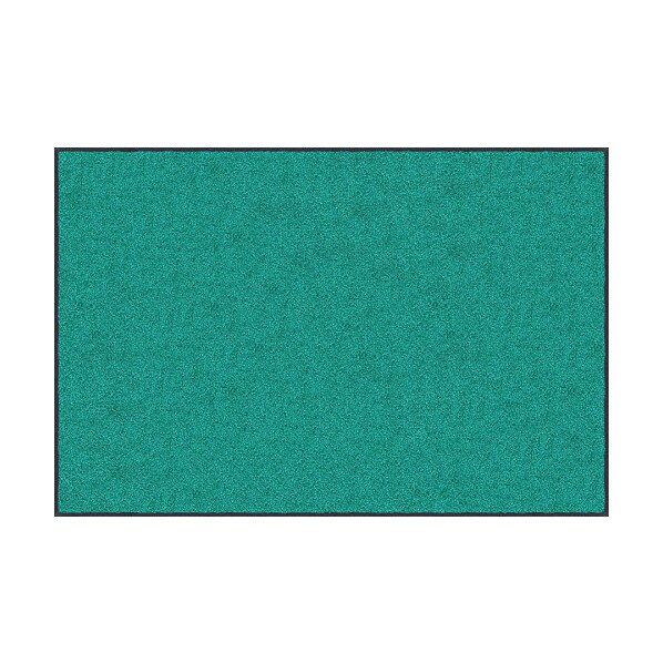 クリーンテックス・ジャパン スタンダードマットS 75x45cm AM00007 1枚