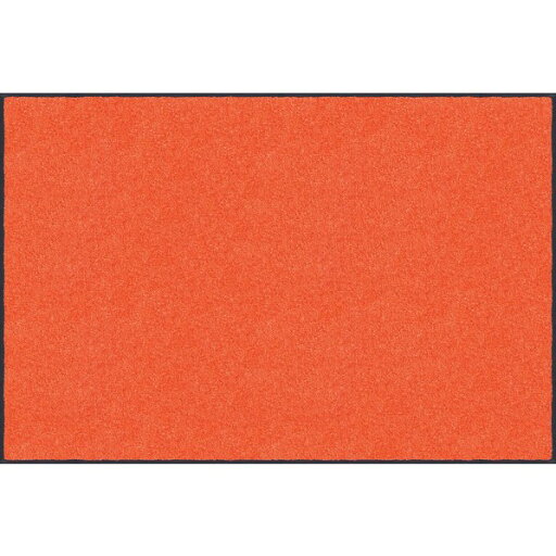 クリーンテックス・ジャパン スタンダードマットS 90x75cm AM00040 1枚 クリーンテックス・ジャパン スタンダードマットS 90x75cm AM00040 1枚