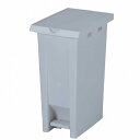 テラモト エコン ペダル式ダストボックス 蓋両開きタイプ 283×422×561mm ホワイト DS-240-037-8 1台【2506DFD_5】