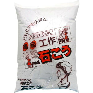 家庭化学工業 高級工作石こう(石膏) 2KG ホワイト 10640600 1点