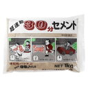 家庭化学工業 超速乾30分セメント 1kg グレー 10631200 1点