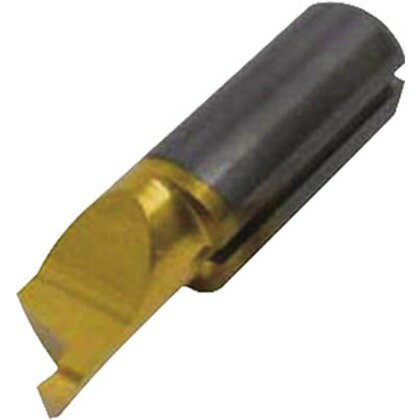 イスカル DチップCOAT IC228 PICCO R 010.1008-30