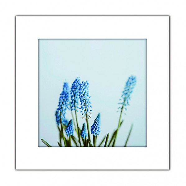 まいにち アートトワレ 青い花 1個