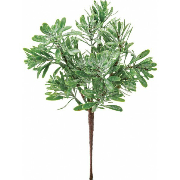 ポピー ボックスウッドブッシュ FG -5075GGR 1本