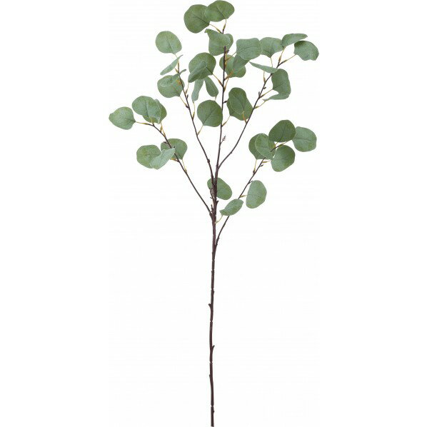 ポピー ポポラスユーカリスプレー FG -5134GR 1本