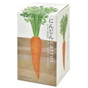 聖新陶芸 根菜栽培セット にんじん GD-89102 1個