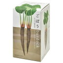 聖新陶芸 根菜栽培セット ごぼう GD-89103 1個