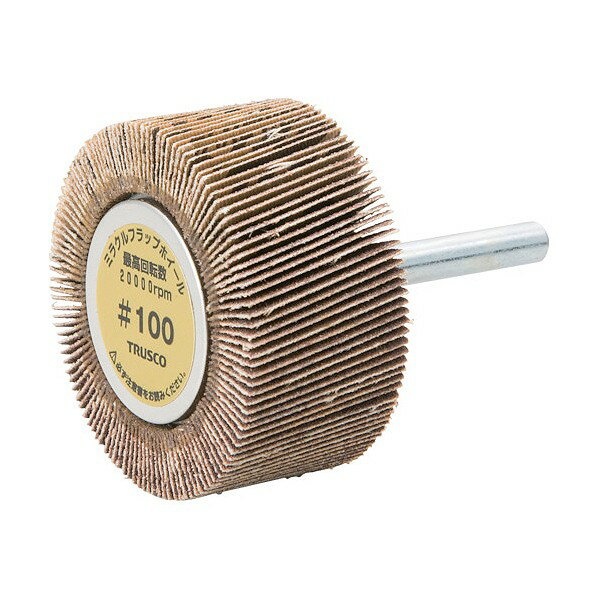 トラスコ ミラクルフラップホイール外径50X厚25X軸65個入100＃ 153 x 144 x 75 mm 100 MR5025 #100 (5コイリ) 5個