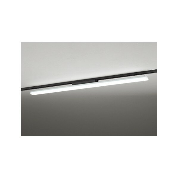 ǥå 졼շ١饤40 Ĵ XL451016RA 1