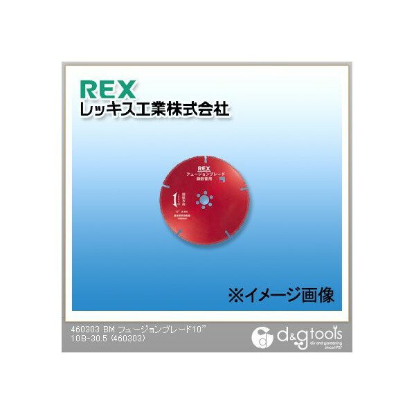 レッキス BMフュージョンブレード10 10B-30.5 460303 1
