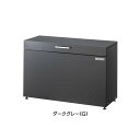 ダイケン クリーンストッカー 1000mm ブラック CKH-1004G 1台