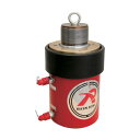 理研機器 複動式油圧シリンダ- D20-300VC 1点