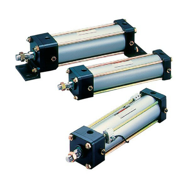 TAIYO 空気圧シリンダ 10A-2LB100B100-S 1点