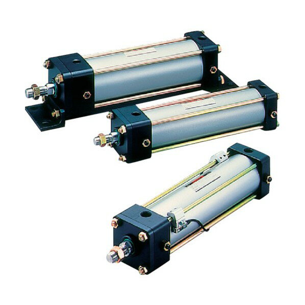 TAIYO 空気圧シリンダ 10A-2RCB63B100-AH2-S 1点