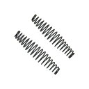 近正(チカマサ) コイルバネ2個入 SP-10