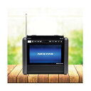 楽天DIY FACTORY ONLINE SHOP※法人専用品※エフ・アール・シー 10.1型テレビ搭載ポータブル電源 NX-PB600TV（W） 1点