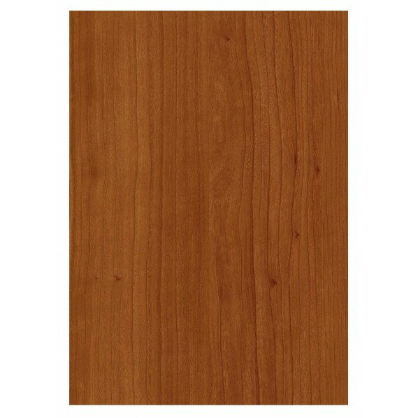 アイカ工業 メラミン 4×8 木抽 TJY 2040KQ98 1枚