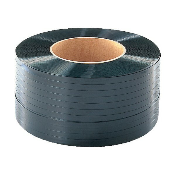 大日製罐 DIC ディックエステルバンド S195 18．8mm×1800M S195 1個